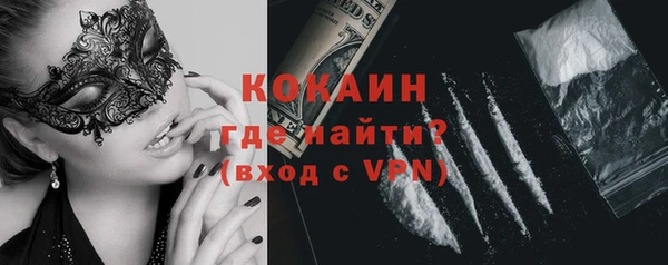 гашик Пересвет