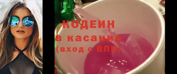 гашик Пересвет