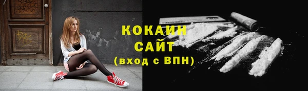 гашик Пересвет