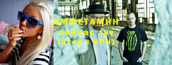 гашик Пересвет