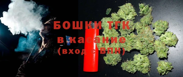 гашик Пересвет