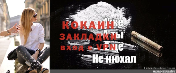 гашик Пересвет