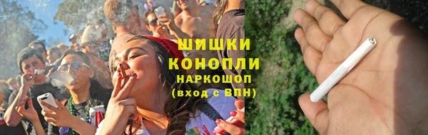 гашик Пересвет