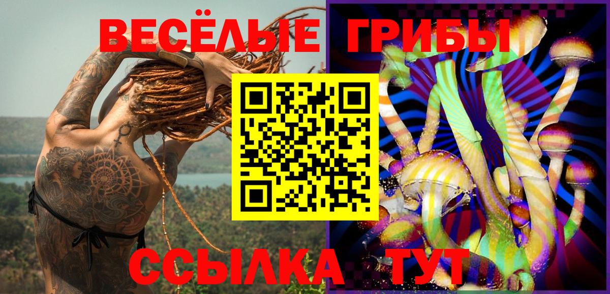 Псилоцибиновые грибы мухоморы Сертолово