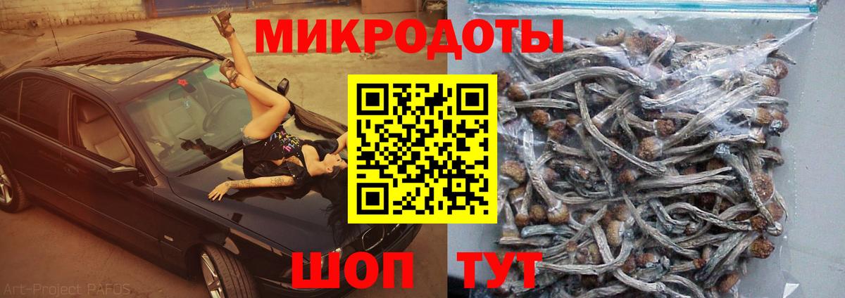 Галлюциногенные грибы прущие грибы  Вход с VPN  Галлюциногенные грибы Psilocybine cubensis  Сертолово 